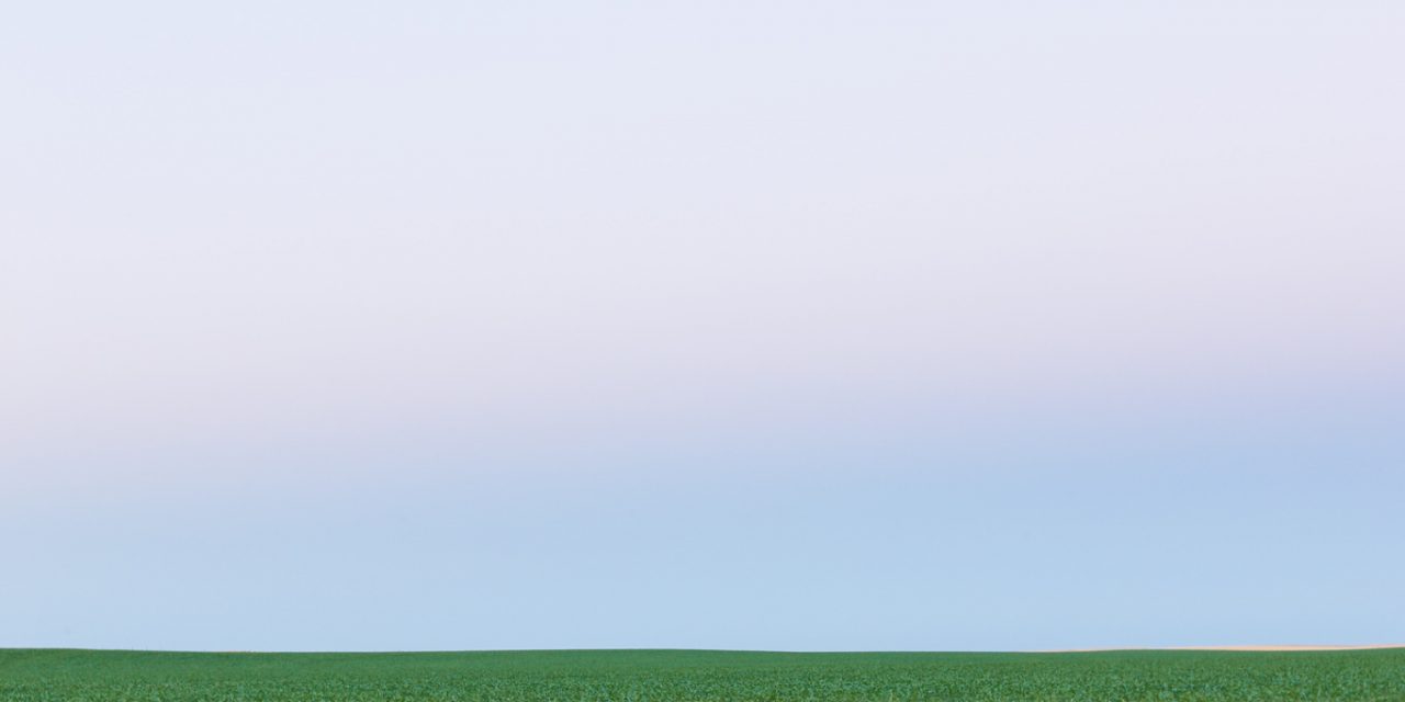Field and Sky