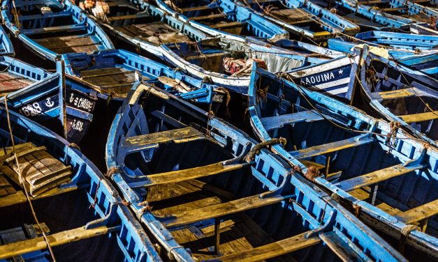 Working the Blue Boats