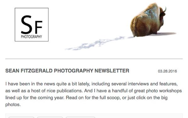 My Newsletter is Out!