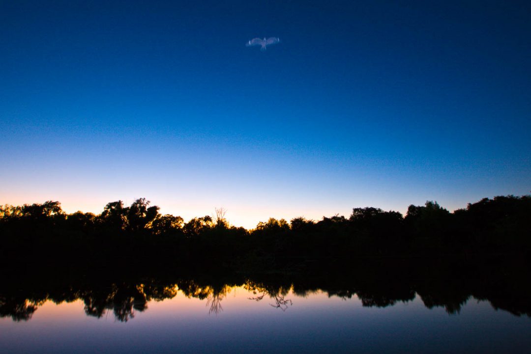 seanfitzgerald_080418_1100-3.jpg