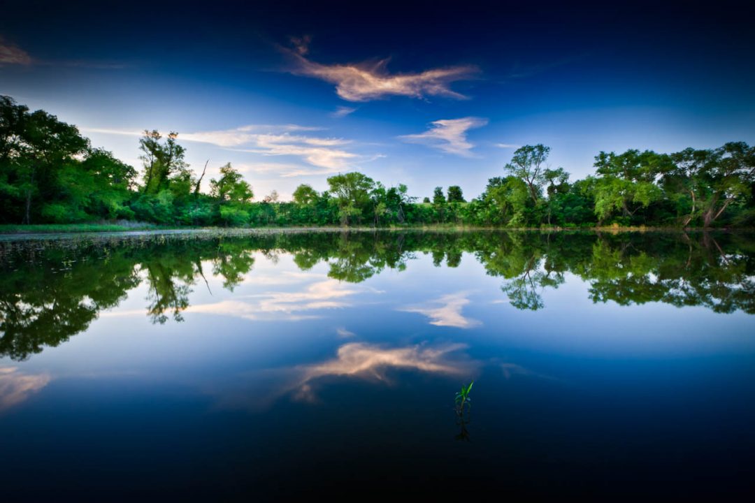 seanfitzgerald_090520_7798.jpg