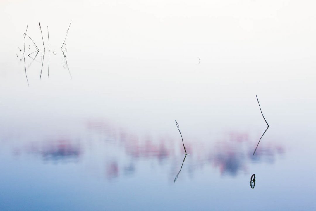 seanfitzgerald_090721_9321-1.jpg