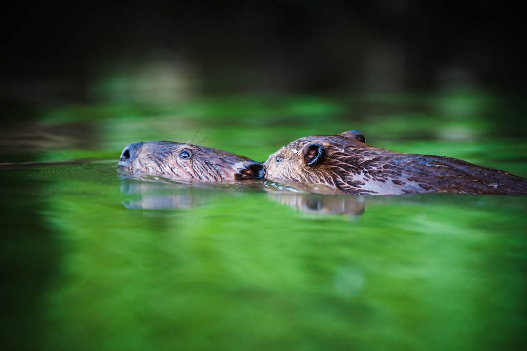 seanfitzgerald_100601_5870.jpg